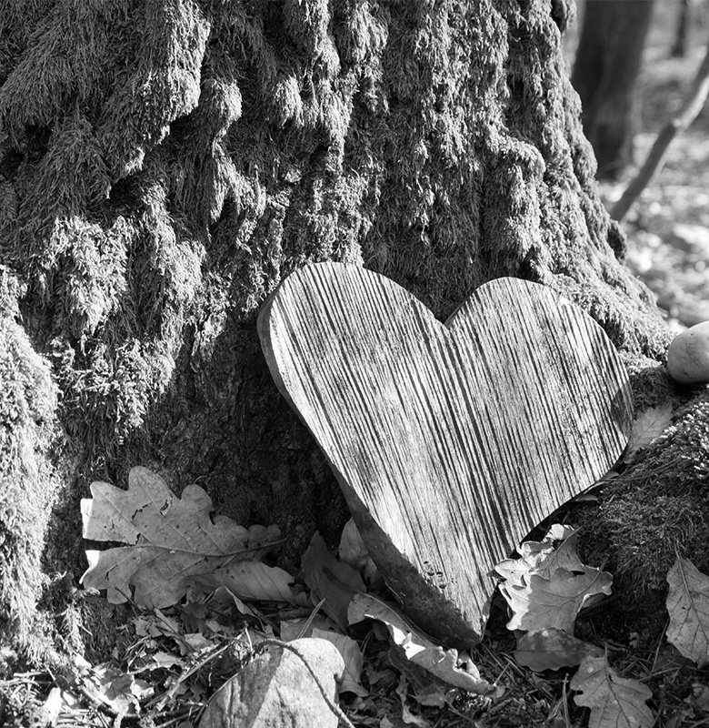 Peter Steinel Bestattungen Phulippsburg Huttenheim Rheinsheim